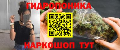 мдпв Гай