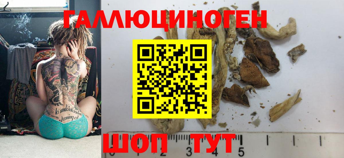 Новоалтайск  Галлюциногенные грибы GOLDEN TEACHER  Вход с VPN 